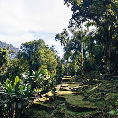 Finca Cuipo Buritaca Ngoại thất bức ảnh