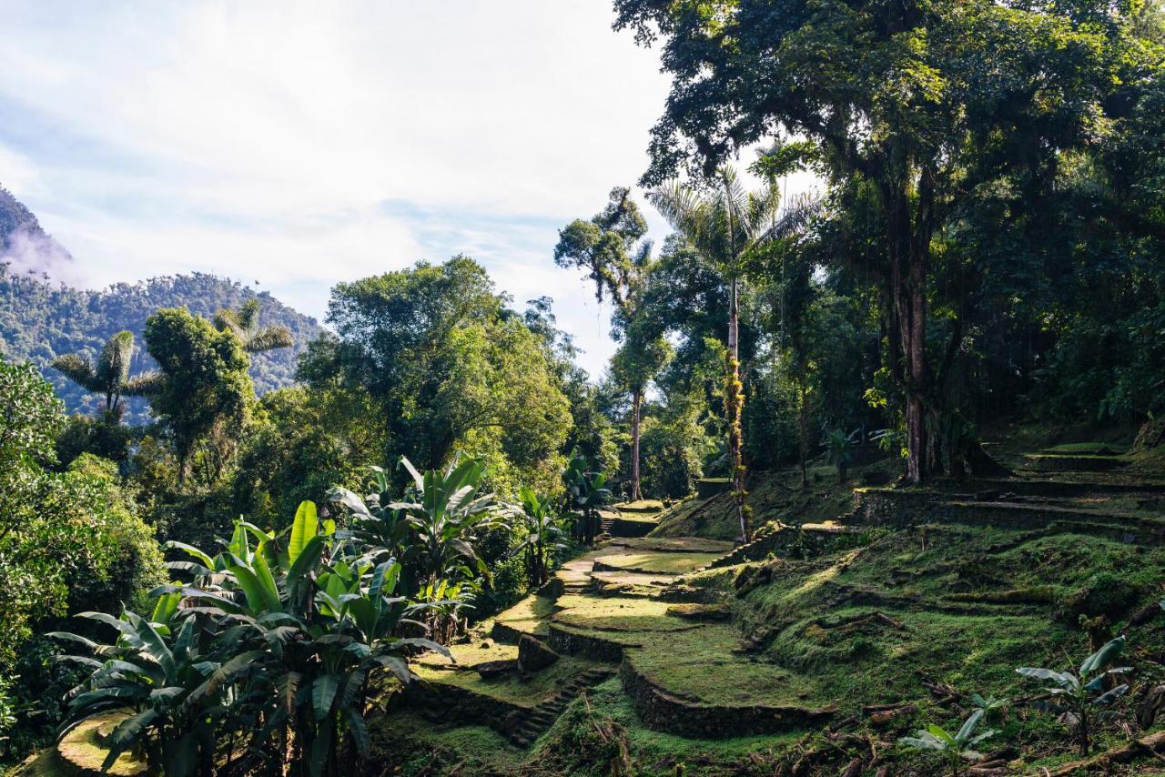 Finca Cuipo Buritaca Ngoại thất bức ảnh